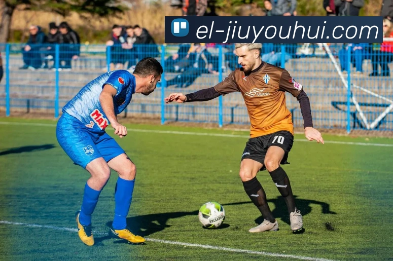 九游会J9官网平台生态图